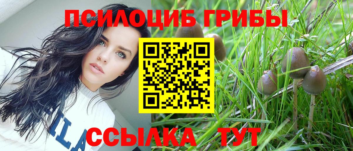 Галлюциногенные грибы мухоморы Саяногорск